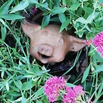Apartament Au Cochon Qui Rit