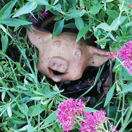 아파트 Au Cochon Qui Rit