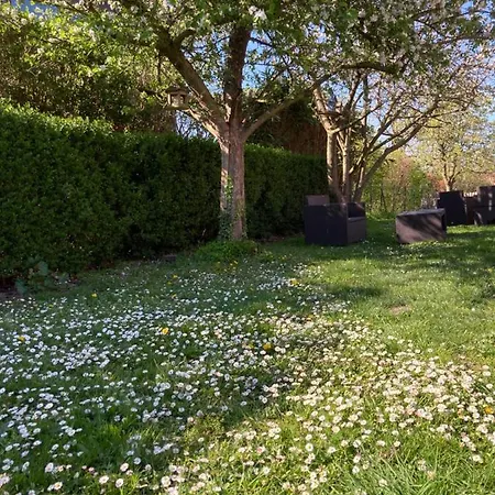 Au Cochon Qui Rit * Flines-Les-Mortagne