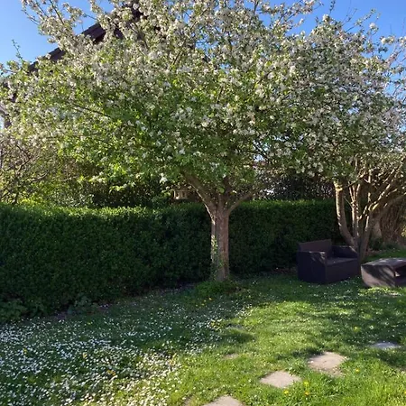 Apartamento Au Cochon Qui Rit Flines-Les-Mortagne